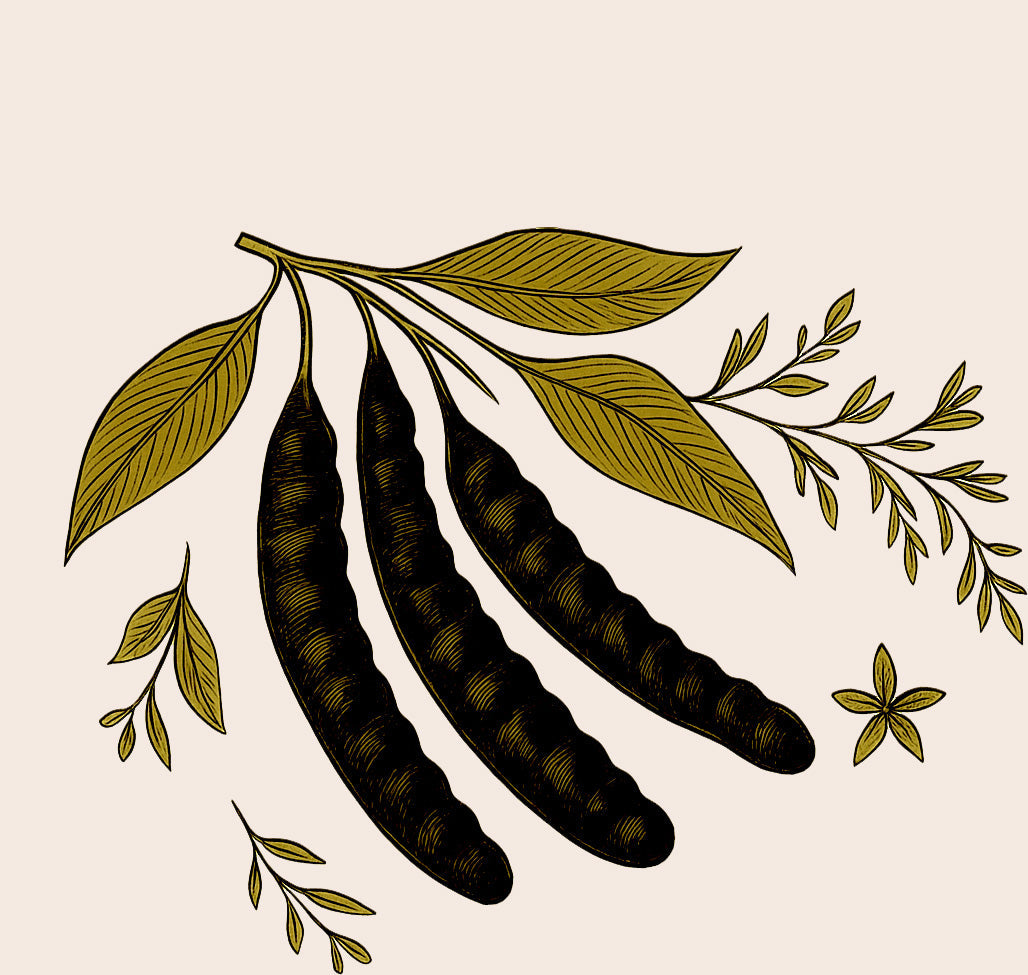 Illustration of boket fruit with green leaves on a beige background