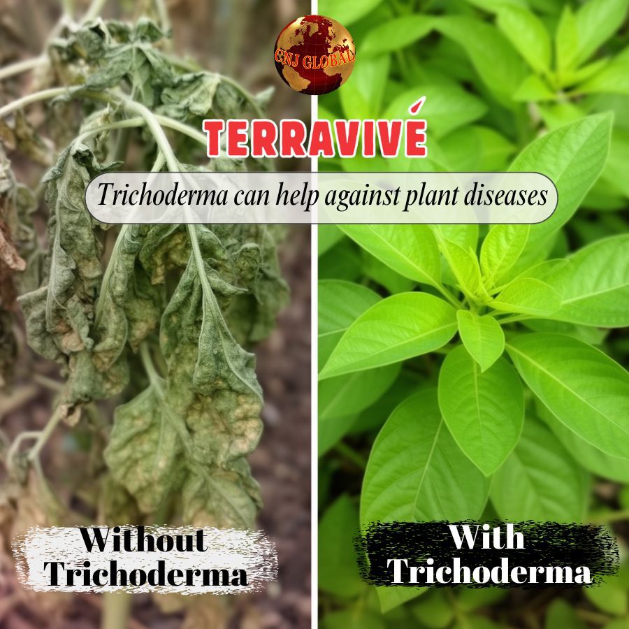 TERRAVIVÉ National Day Special | 4 × 1kg Biofertiliser Bags for $61