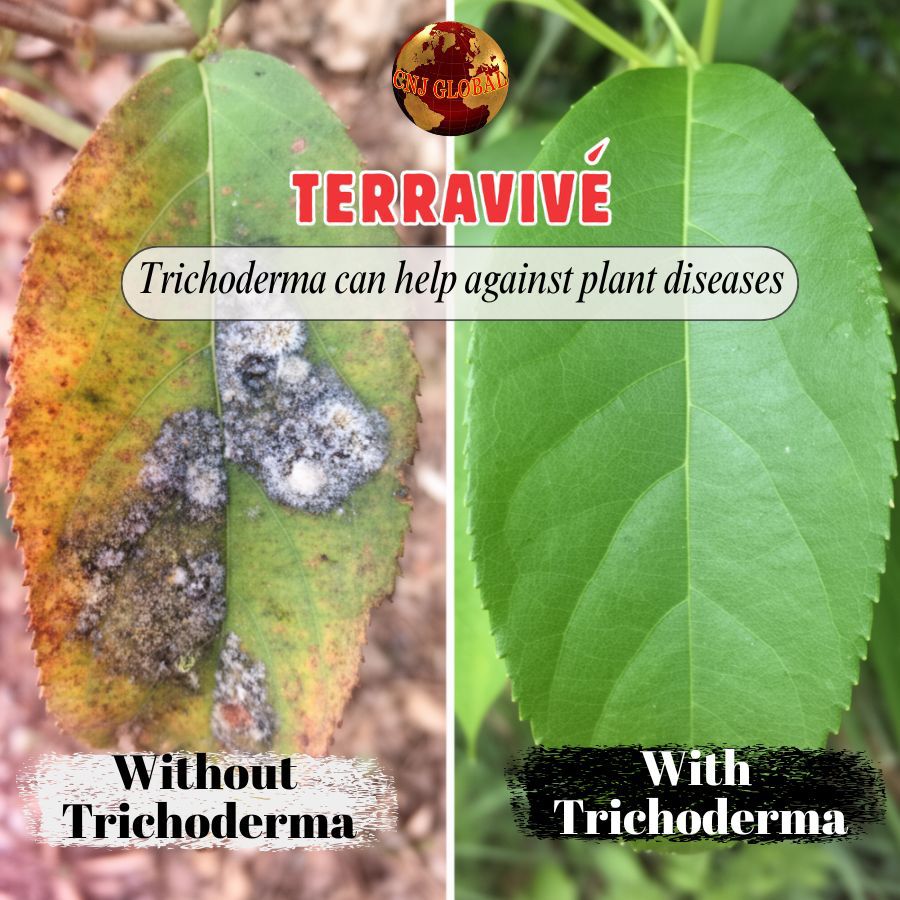 TERRAVIVÉ National Day Special | 4 × 1kg Biofertiliser Bags for $61
