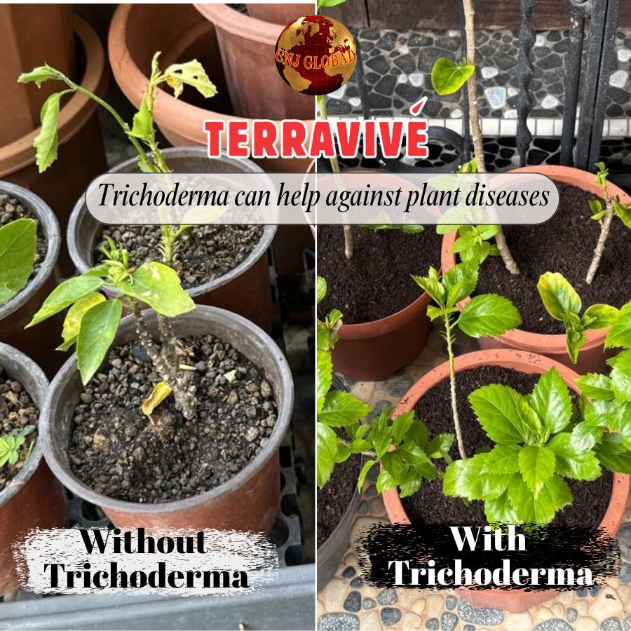 TERRAVIVÉ National Day Special | 4 × 1kg Biofertiliser Bags for $61